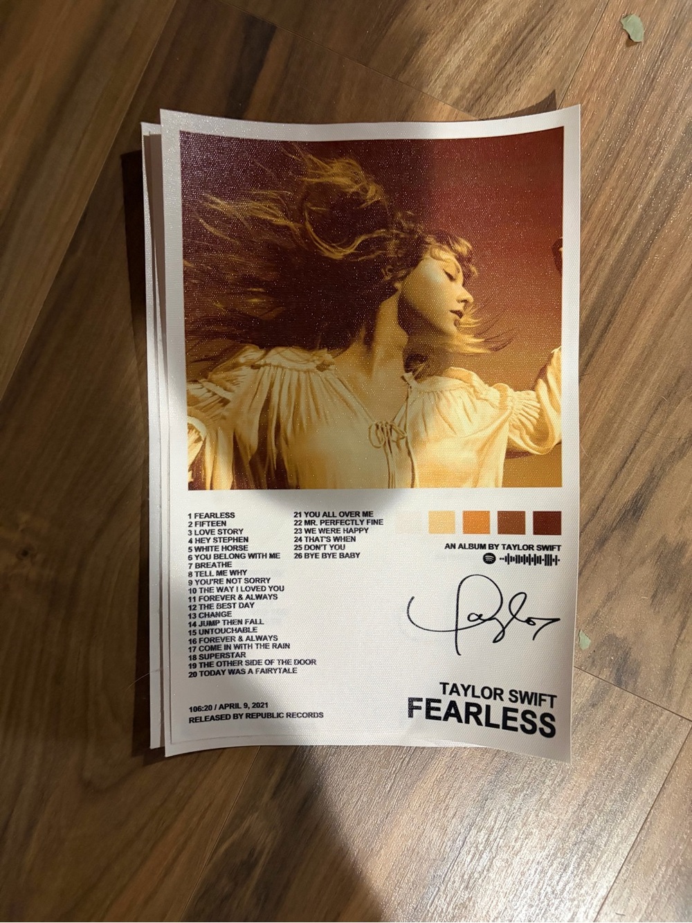 Taylor Swift Fearless Poster - Gold, Brown, Cream Palette